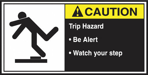 CEMA Label 2 1/2 in x 5 in Vinyl PK5