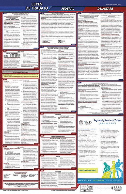 Labor Law Poster Fed/STA DE SP 26inH 1yr