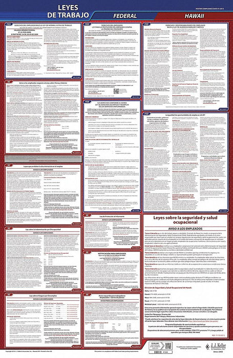 Labor Law Poster Fed/STA HI SP 26inH 1yr
