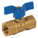 Manual 2-Way Ball Valve IPS Brass
