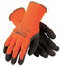 Winter Glove PK12