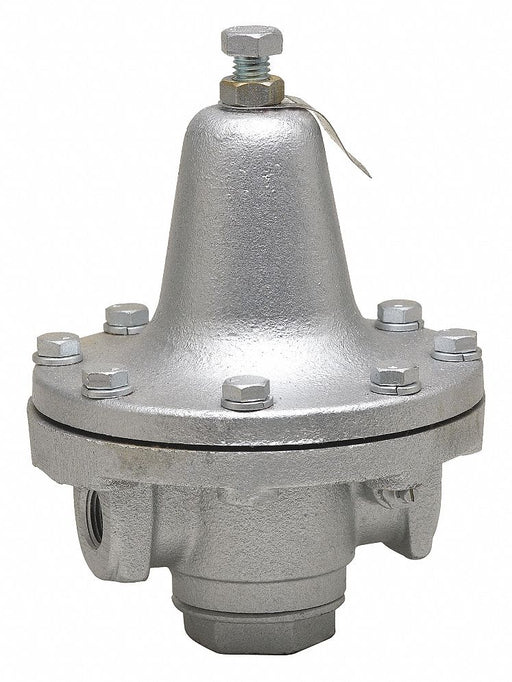 Steam Pressure Regulator 2in 30-100psi