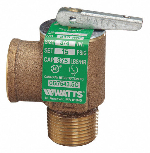 Steam Safety Relief Valve 2-3/4 in.