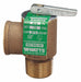 Steam Safety Relief Valve 2-3/4 in.
