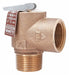Steam Safety Relief Valve 2-13/16 in.