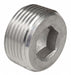 Threaded Plug SS Overall L 4 1/2in