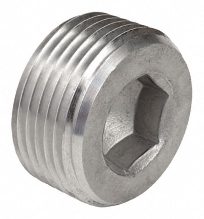 Threaded Plug SS Overall L 1 1/16in