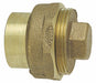 CleanoutPlug Bronze FTG2in Plug2in