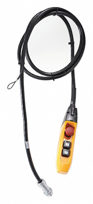 Pendant 110V 2 Functions