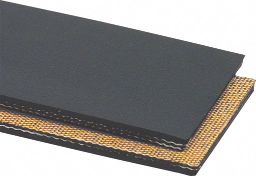 Conveyor Belt 2Ply 220 Ntrle Blk 16InW