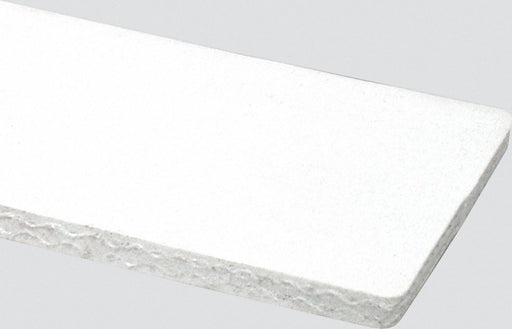 Conveyor Belt 2Ply 220 PVC Wht 18InW
