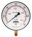 Gauge Pressure 4-1/2in. 0 to 600 psi