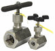 Globe Valve 1 Steel FNPT 10 000 psi