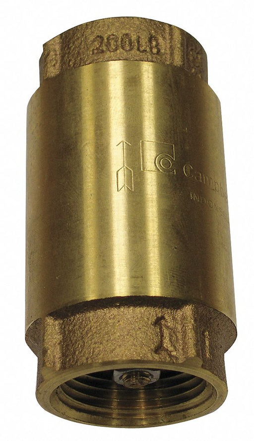Spring Check Valve 3 in Overall L