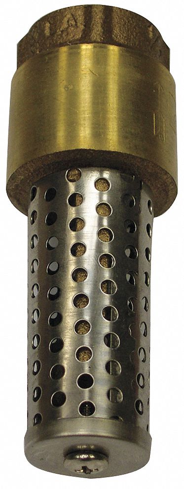 Foot Valve Spring Brass 3/4 