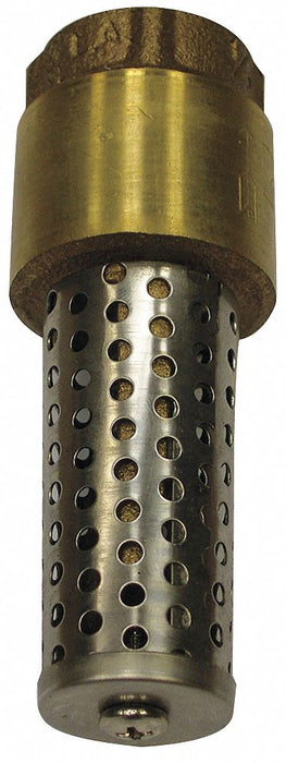 Foot Valve Spring Brass 1-1/2 