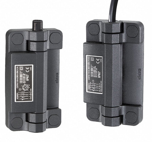 Hinged Safety Interlock Switch 1NO/3NC