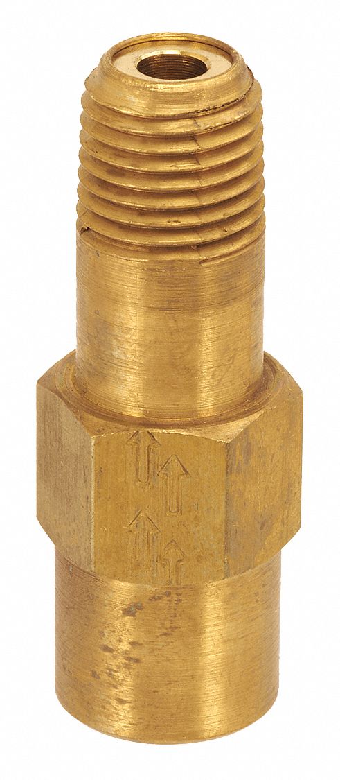 Check Valve 1/4 FPT Inlet Brass SS