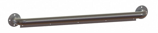 Ligature Resistant Grab Bar SS 30 in L