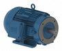 15 Hp Motor 460V AC 3600 RPM