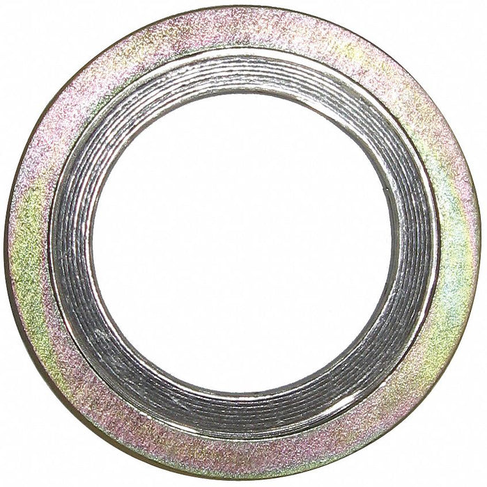 Spiral Wound Metal Gasket 6 in 11/64 in