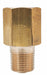 Pressure Snubber Lead Free 1/2in.x1/2in.