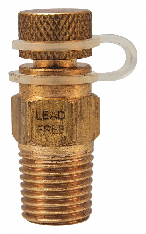 Pressure Test Plug LF Brass 1/4 in NPT