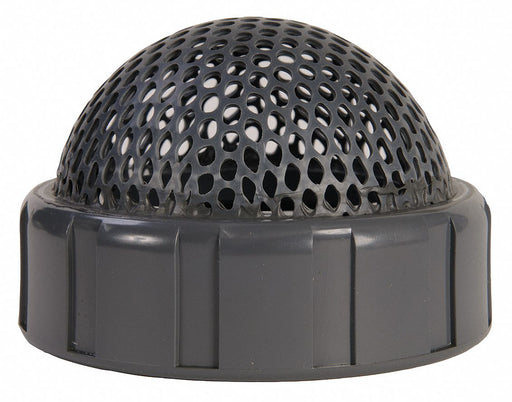 Foot Valve Screen 4 In PVC