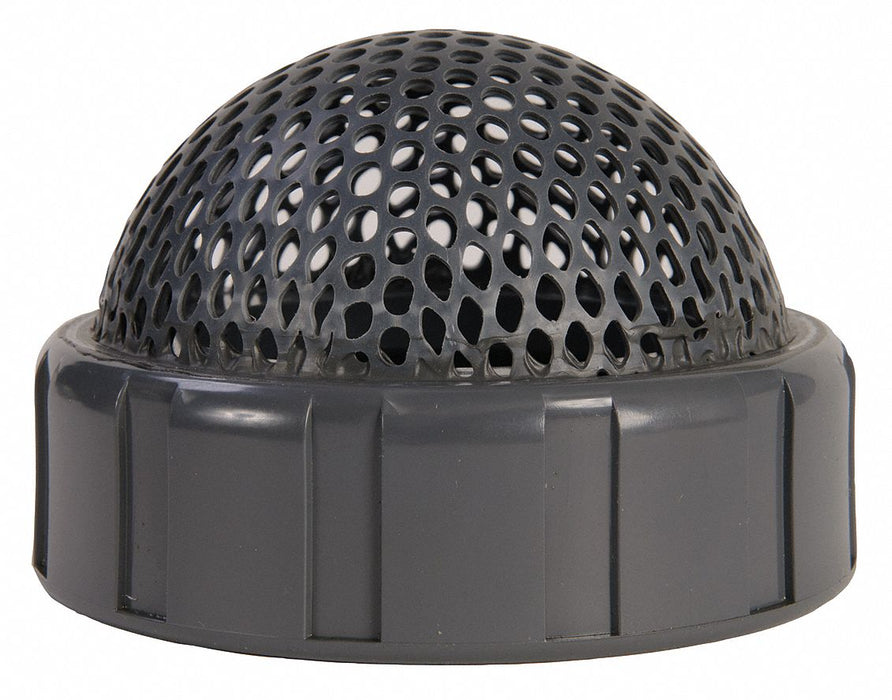 Foot Valve Screen 2 In PVC
