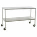 Mobile Instrument Table 46x24x34 w/Shelf