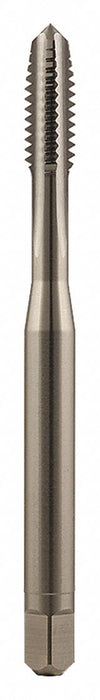 Tap Spiral Flute 1 -8 Plug