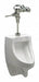 Washout Urinal  Manual Flush Valve