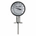 Dial Thermometer