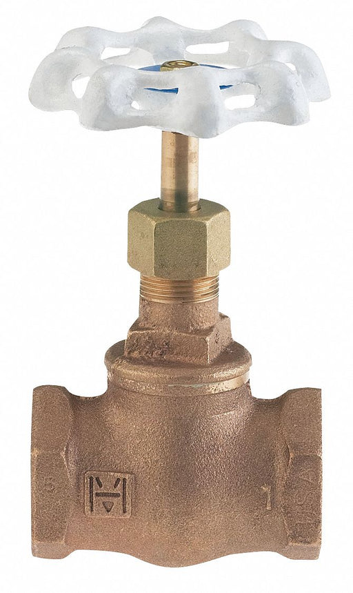 Globe Valve 3/4 Bronze FNPT 300 psi