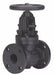 Globe Valve 8 Cast Iron Flange 125 psi