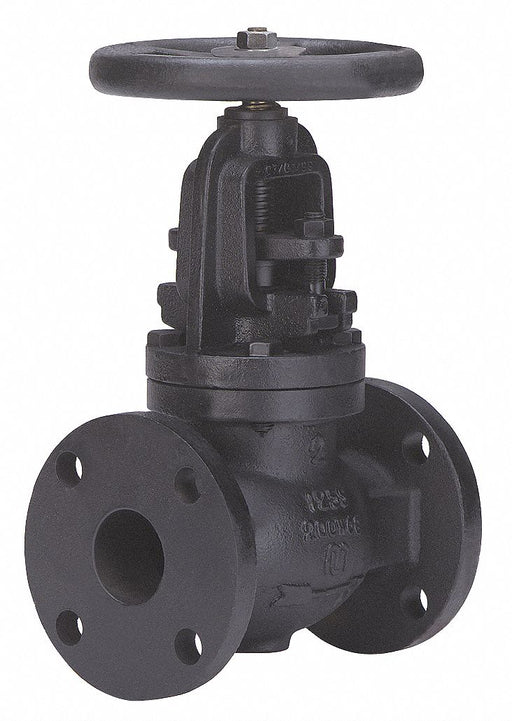 Globe Valve 4 Cast Iron Flange 125 psi