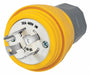 WT LckPlg Strt 30 A Yellow Elastmr 4Blds