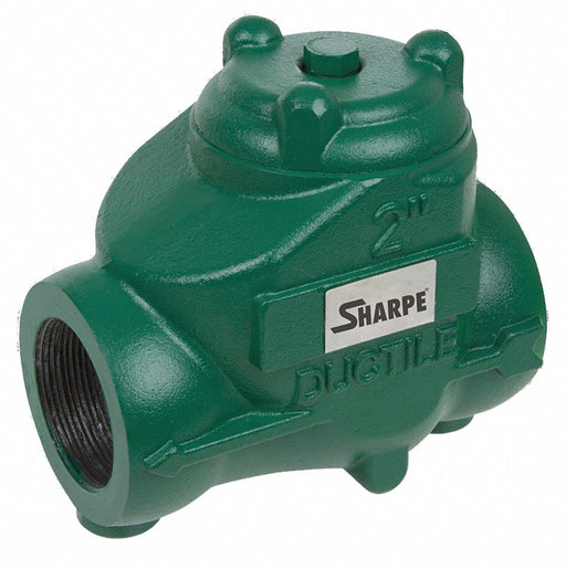 Oil Patch Swing Check Valve