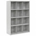 Cubbie Cabinet 18inx66inx46in #Cmpmt 12