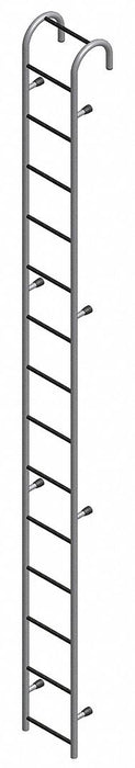 Storage Tank Ladder 15 Ft.