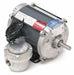 Motor 1/4 HP 1725 rpm 56 208-230/460V
