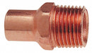Straight Copper FTG1/4in MNPT1/4in