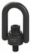 Hoist Ring M30-3.50 Thread 9 920 lb
