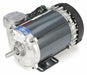 Motor 3/4 HP 1725 rpm 56 208-230/460V