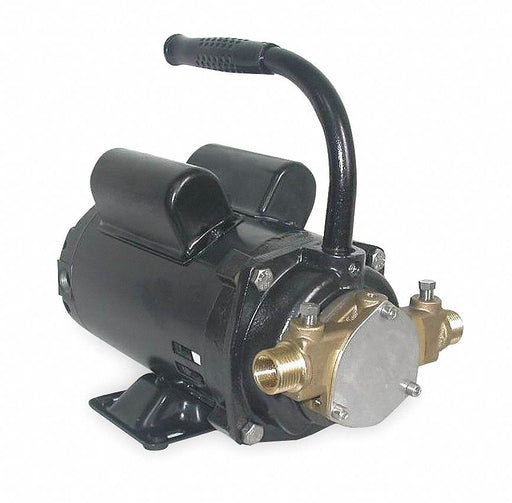 Utility Pump 115/230V AC