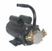 Utility Pump 115/230V AC