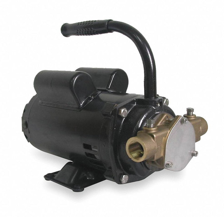 Utility Pump 115/230V AC