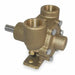 Pump Pedestal Inlet/Outlet 1 In