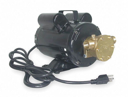 Utility Pump 8 ft 115/230V AC