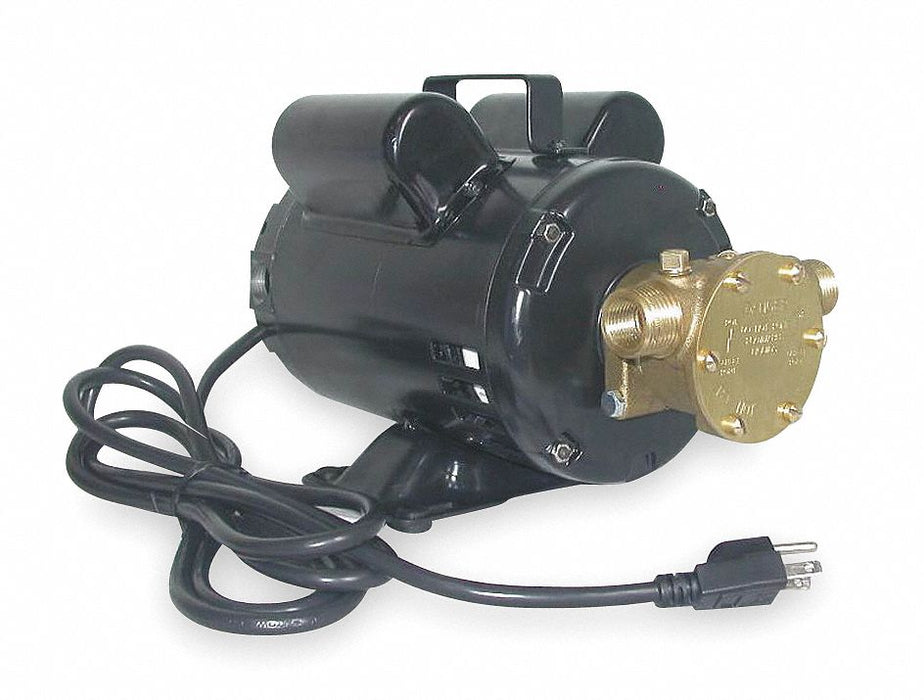 Utility Pump 8 ft 115/230V AC